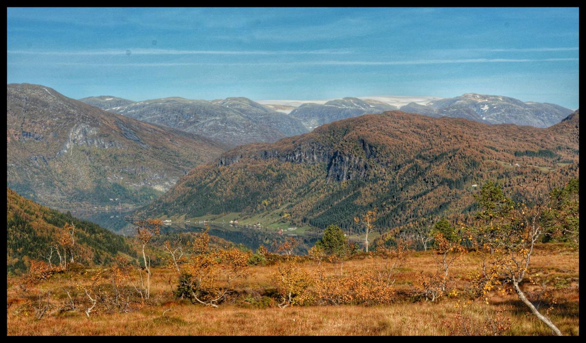 Отель Tuftegarden Viksdalen Экстерьер фото