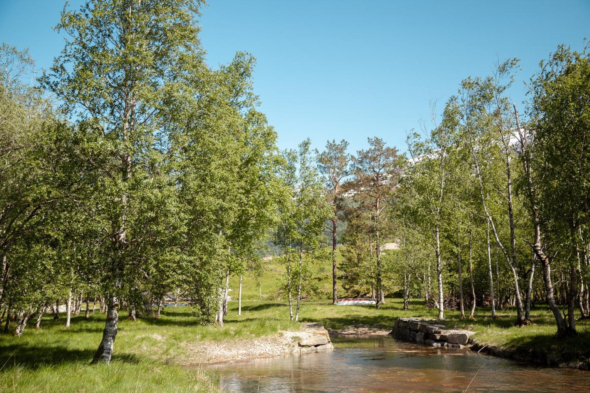 Отель Tuftegarden Viksdalen Экстерьер фото